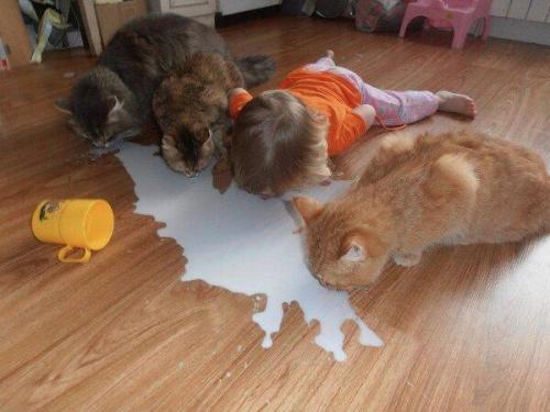 pleatedjeans:  More Pictures That Prove Kids Are Weird (19 Pics) 