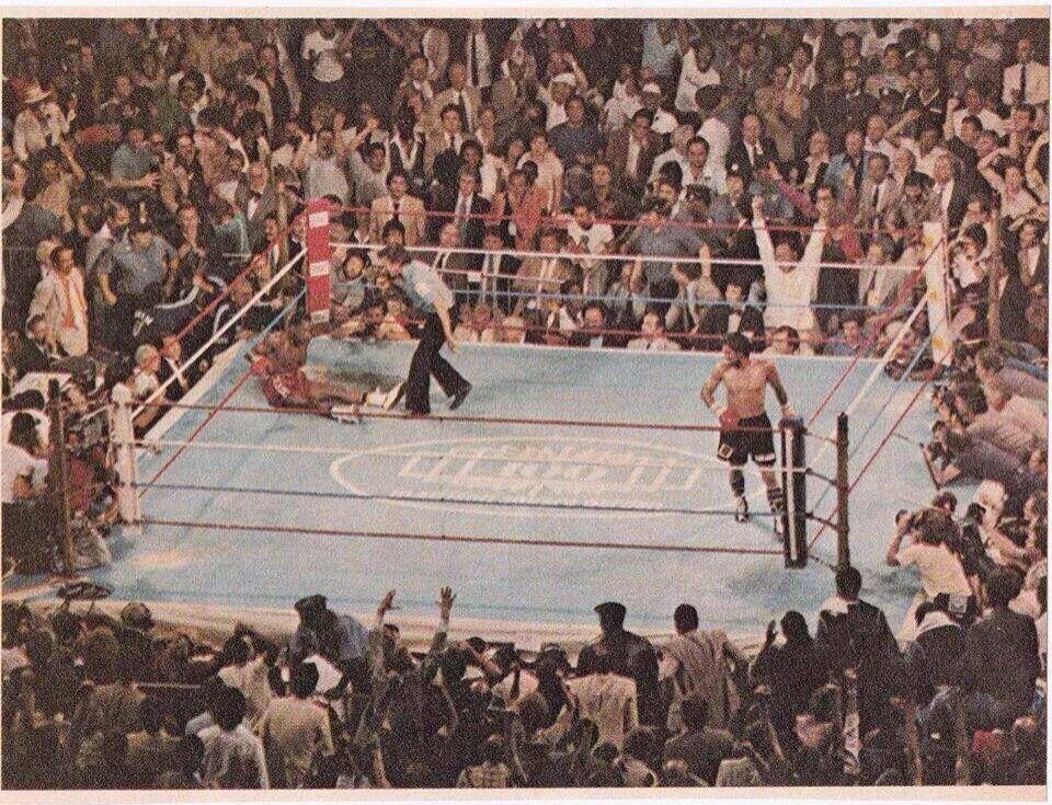dannybrosco:  June 16, 1983 - Madison Square Garden