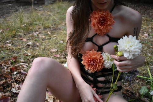 Porn cannabisqueenofnight:  fall flower fairy photos