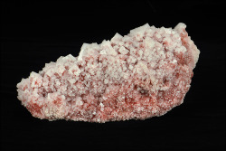 amnhnyc:  Why is this crystal pink? It’s got microbes inside. This salt crystal is from Searles Lake, California, where salt levels are so high that few animals can live there. But halophilic (“salt-loving”) microbes called archaea breed in such