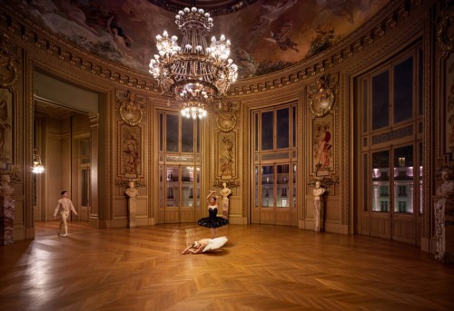kameliendame:Analogia (click on image for high res)ph. Pierre-Elie de Pibrac