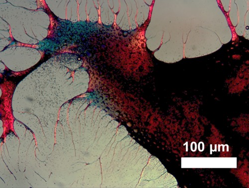 cenchempics:SCARY STORIES TO TELL IN THE LAB This image may look torn from the pages of a horror n