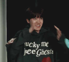 ᵗᶦⁿʸ Hobi