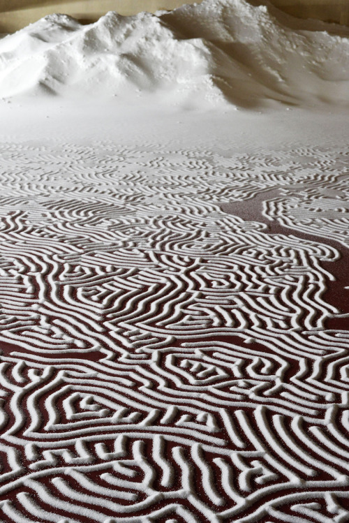 itscolossal:New Labyrinths of Poured Salt by Motoi Yamamoto Cover the Floors of a French Castle