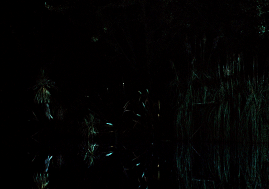 2fc899796d960a464a4f72f83117a8d04698c2e1.gif