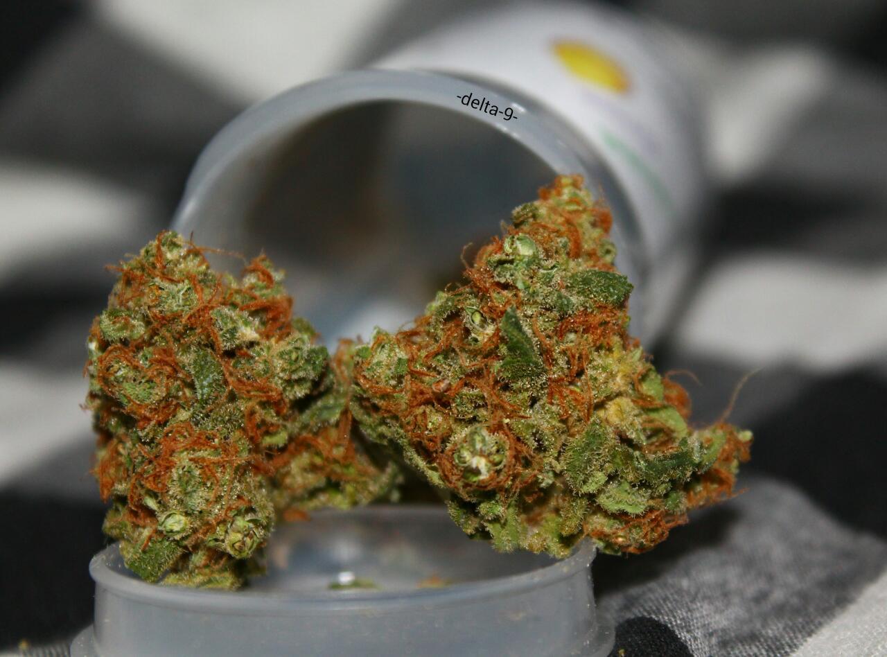 -delta-9-:  Some Sweet Smelling, Super Girl🔥👌