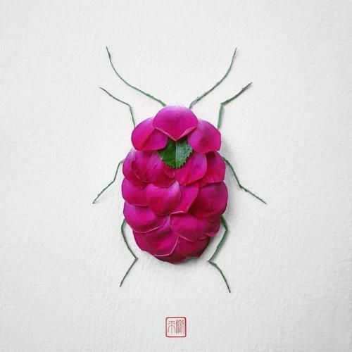 pr1nceshawn:Natura Insects – The delicate floral compositions by Raku Inoue.