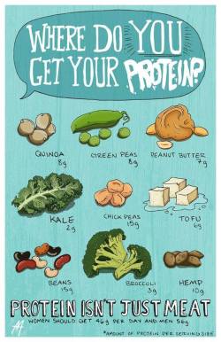 katievandenberg:  Protein doesn’t only come from meat