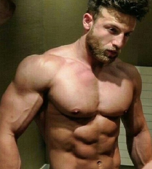 Packed Pecs