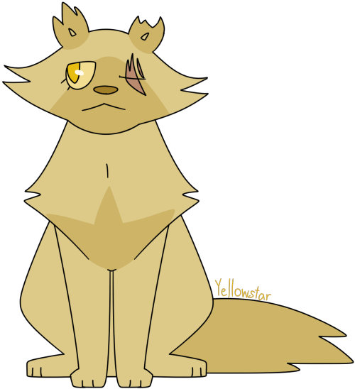 [Image Description: A digital drawing of Yellowstar from the Warrior Cats book Code of the Clans. Ye