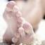 sandiegobearfoot
