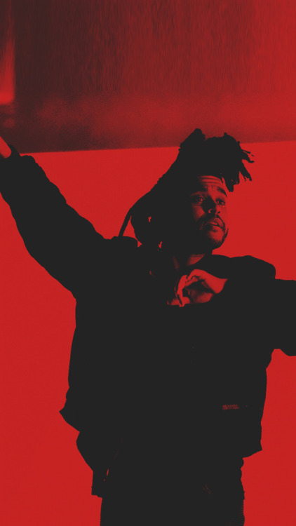 hypescreens: THE WEEKND | HYPESCREENS LIKE//REBLOG IF YOU USE ONE