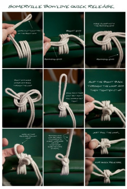 sirbind:  Rope ideas sirbind.tumblr.com 