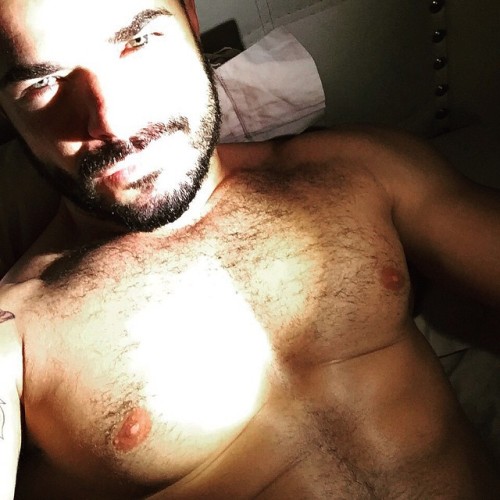 bigmalepecs:  @mr.liborio  >> video  