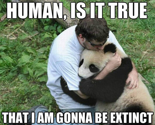 advice-animal:  Don’t let them die…http://advice-animal.tumblr.com/  Do you all