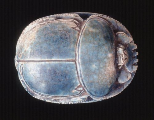 ancientpeoples: Commemorative scarab Egypt 18th Dynasty Steatite lion hunt scarab of Amenhotep III: 