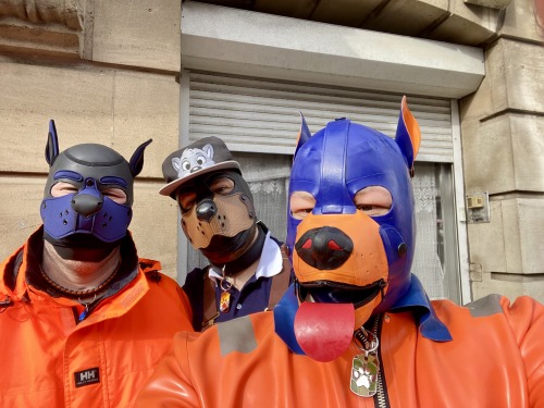 Puppy Walk At Darklands With @PupRufusAD