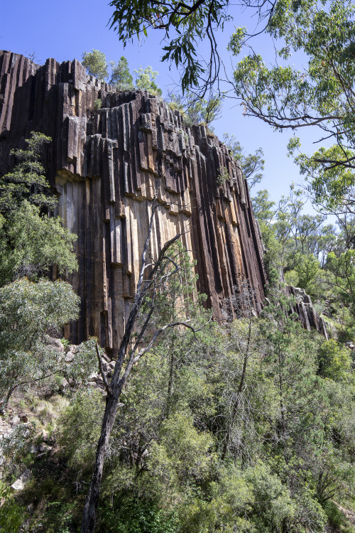 2022: Sawn Rocks, Mount Kaputar National Park. As the Australasian plate moved north during the Tert