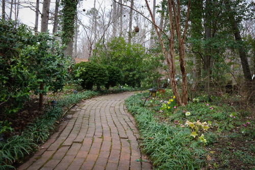 gardenmuse:A mid winter treat - head south to find spring !!!Leaping forward in time to a place fill