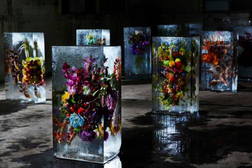 Japanese artist Azuma Makoto 東信“ICED FLOWERS”とは、花々を氷で包み込み、その中で刻まれていく命の変化を鑑賞する作品です。氷の中に存在することによって引き立て