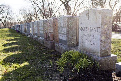 A quiet sunny morning in the Cambridge Cemetery on April 20, 2018. There are only 400 new plots left