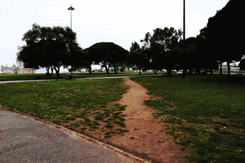 A photo of a 'desire path' - a path worn through the turf in a park where people have left the paved path and worn away the grass. The image crossfades so that the grassy lawn of the park is replaced by a 'code waterfall' as seen in the credit sequences of the Wachowskis' 'Matrix' movies. Image: Belem (modified) https://commons.wikimedia.org/wiki/File:Desire_path_%2819811581366%29.jpg CC BY 2.0 https://creativecommons.org/licenses/by/2.0/deed.en
