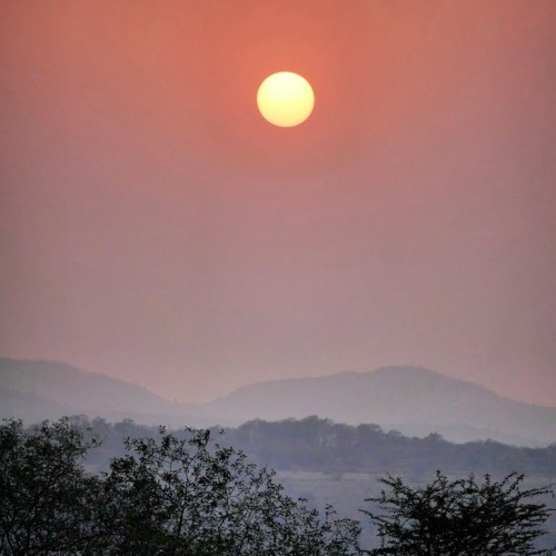 Evening walk to vetal tekdi, pune