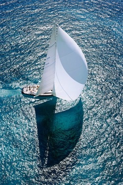 styleerotica:  Sailing, second best thing in the world…