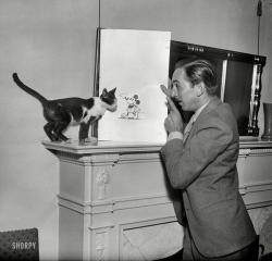 historicaltimes:  Walt Disney explaining then-unknown Mickey Mouse to a cat in 1931. via reddit