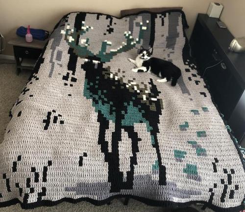 I knitted this blanket for my brother’s Christmas present! It seriously got down to the wire there&n