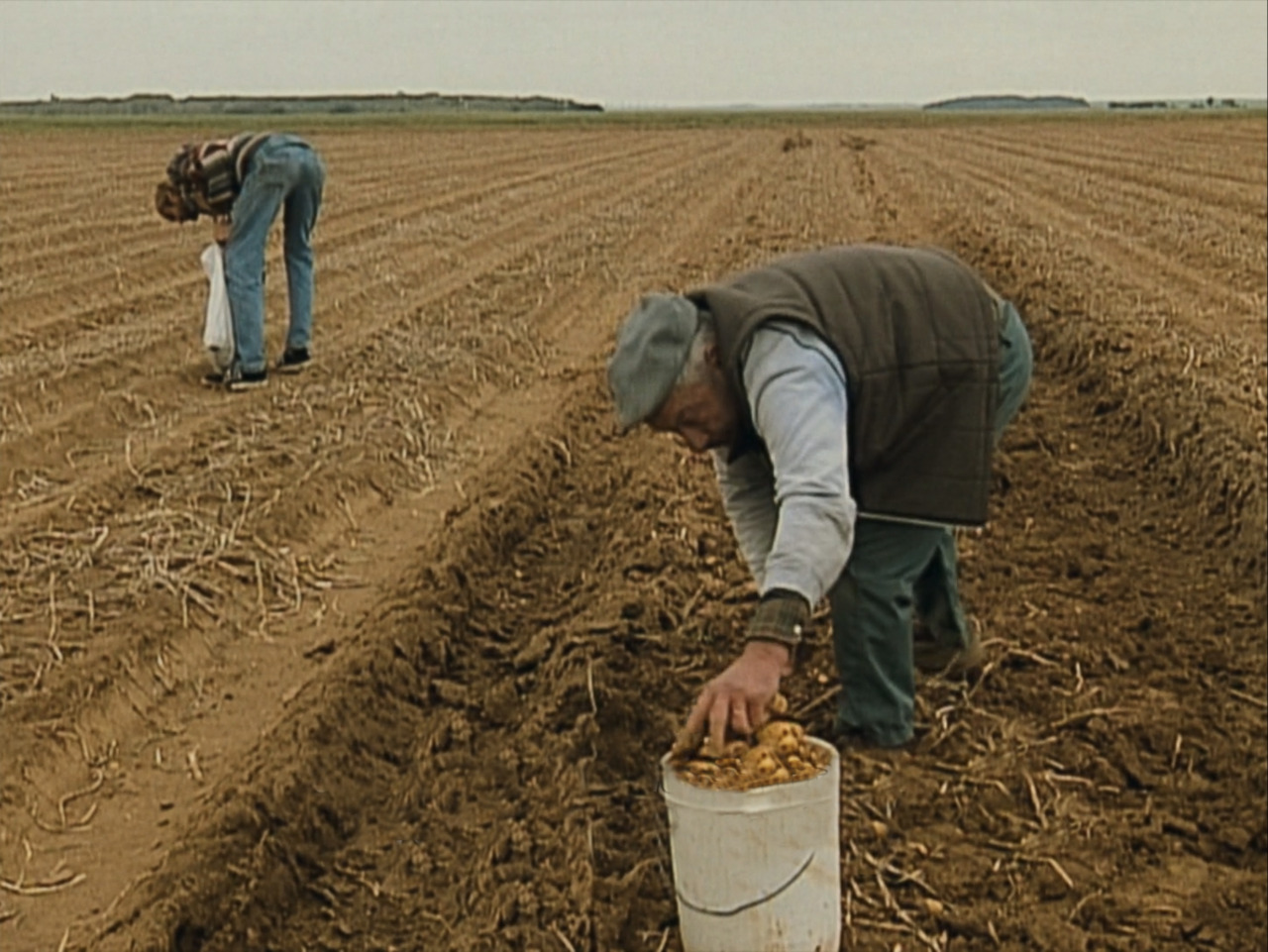 Agnes Varda The Gleaners And I Trailer - The Gleaners and I (2000) dir. Agnès Varda