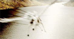 fyesharrypotter:  &ldquo;I haven’t a clue who put your name in the Goblet,