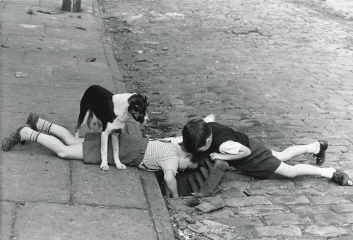 arabamolsamontgiymezdim:Shirley Baker