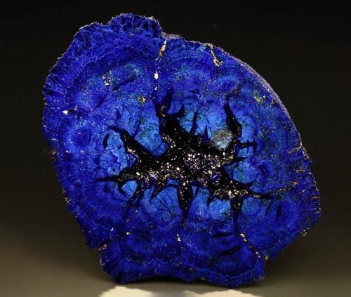 hematitehearts:AzuriteLocality: Poteryaevskoe Mine, Rubtsovskoe Cu-Zn-Pb deposit, Rudnyi Altai, Alta
