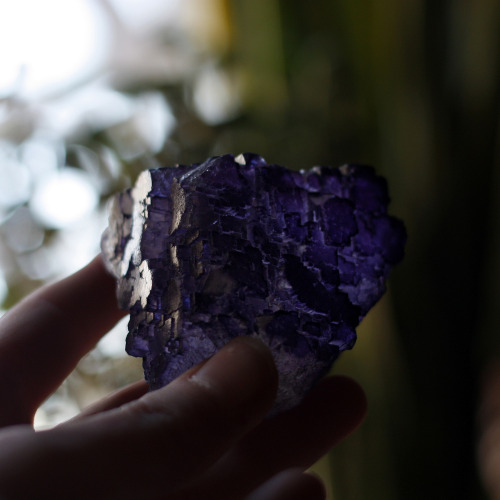 This cubic purple fluorite is also from a flea market. At first I thought it was just some random da