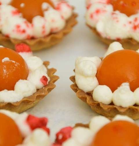 Tarts Recipe - Mini Apricot Tarts