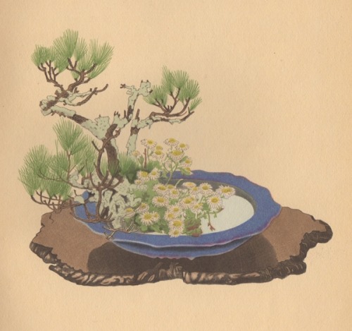 From Selected Flower Arrangements of the Ohara School, arranged by Koun Ohara, explained by K. Nakah
