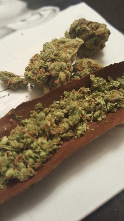 chocolateleo420:  He said OG Chem- dog… If so Gasssss!!!!!  Well damn