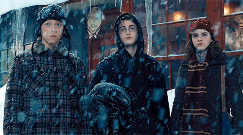 ellowen: Harry Potter and the Prisoner of Azkaban (2004) dir. Alfonso Cuaron   But you know happines