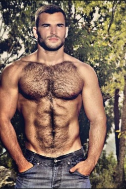 hot4hairy:  Almog Gabay  H O T 4 H A I R Y  Tumblr |  Tumblr Ask |  Twitter Email | Archive  | Follow HAIR HAIR EVERYWHERE!