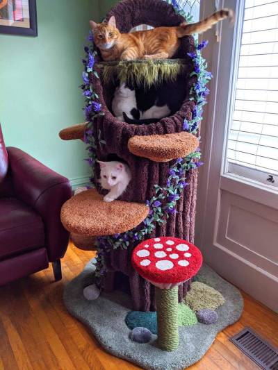 cottagecorelifeblog: