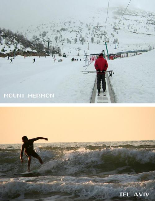 eretzyisrael: Winter time in Israel means you can ski in the morning, and surf in the evening!