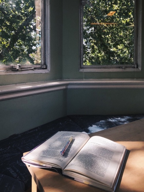 Reading Stella Adler in a bookshop nook