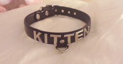 starry-eyed-loli:  yurimilk:  the-bagel-king:  iguessilltryitout:  the-bagel-king:  iguessilltryitout:  why would you even get this it doesnt have the cats name on it who the fuck is gonna see this and be like “well now I know whose cat it is”  I