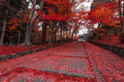 sixpenceee:  A picture of Bishamon-do Temple in Kyoto. (Source)