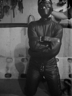 RUBBER-PUPPY RUGI