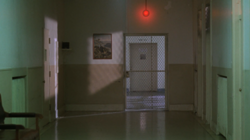 One Flew Over the Cuckoo’s Nest, 1975DramaDirected by Miloš FormanDirector of Photography: Has