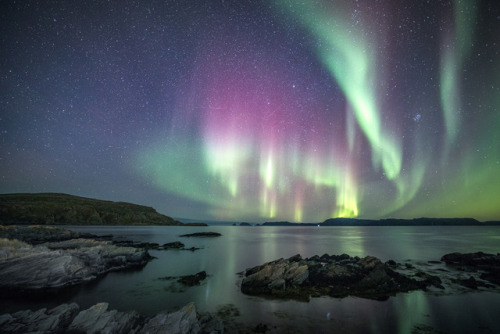 tiinatormanenphotography: Aurora night under arctic sky.  Oct 2017, Måsøy, Norther