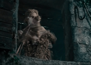 gertrudedats:Into the Woods (2014)