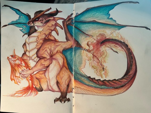 Funky Little Charizard (also Known As Rooster) Holding A Goldeen
